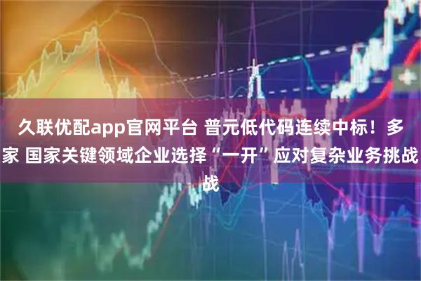 久联优配app官网平台 普元低代码连续中标！多家 国家关键领域企业选择“一开”应对复杂业务挑战
