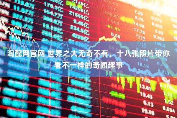 淘配网官网 世界之大无奇不有，十八张照片带你看不一样的奇闻趣事
