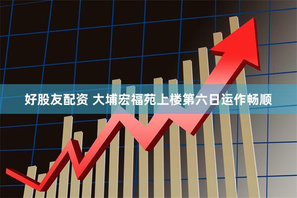好股友配资 大埔宏福苑上楼第六日运作畅顺